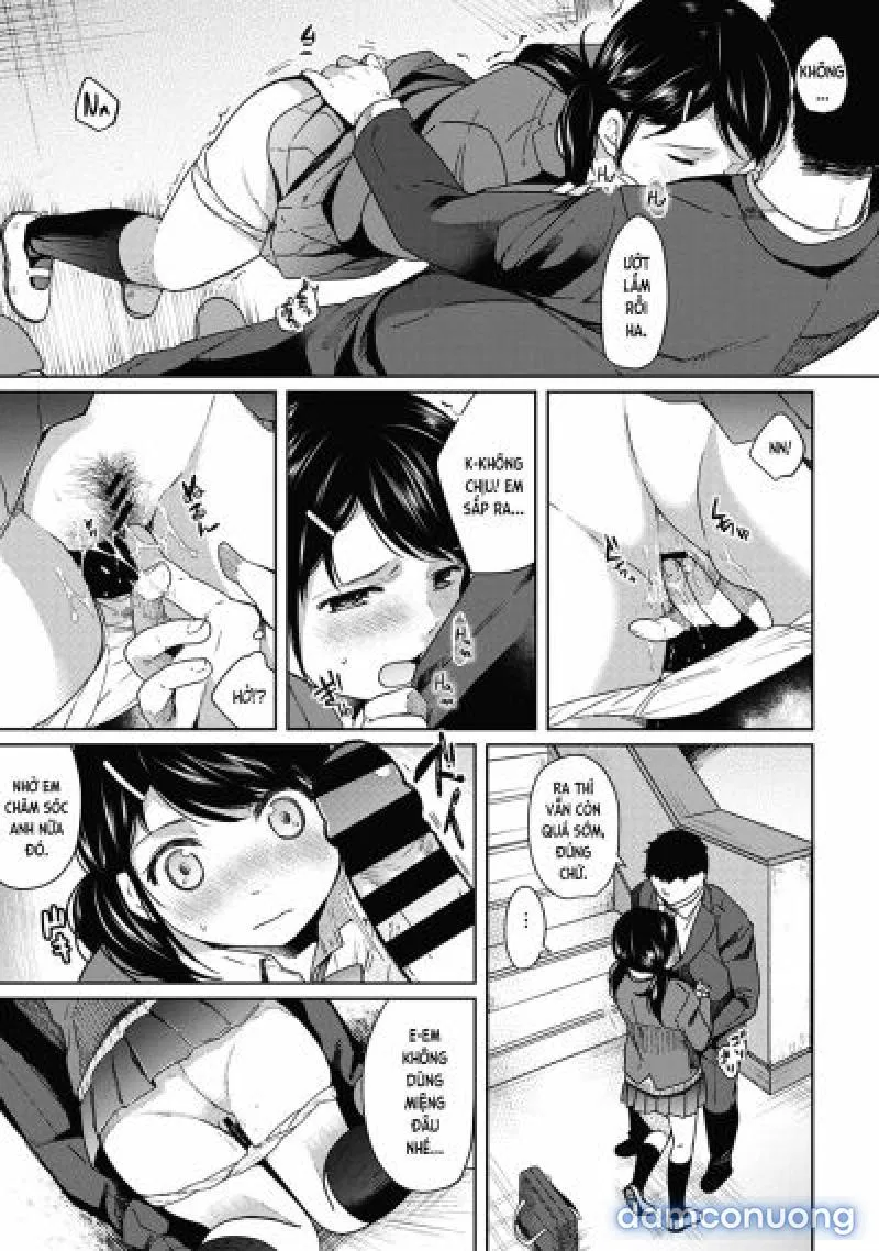 1LDK+JK Ikinari Doukyo? Mitchaku!? Hatsu Ecchi!!? 