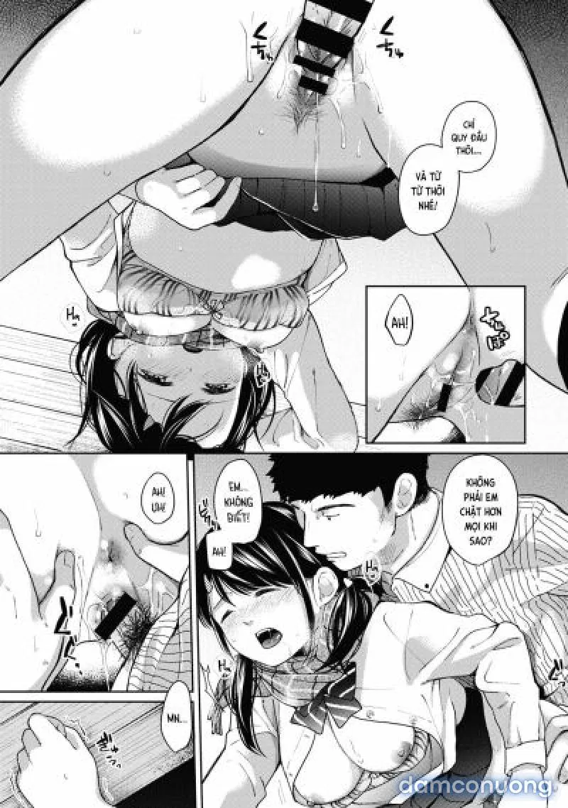 1LDK+JK Ikinari Doukyo? Mitchaku!? Hatsu Ecchi!!? 