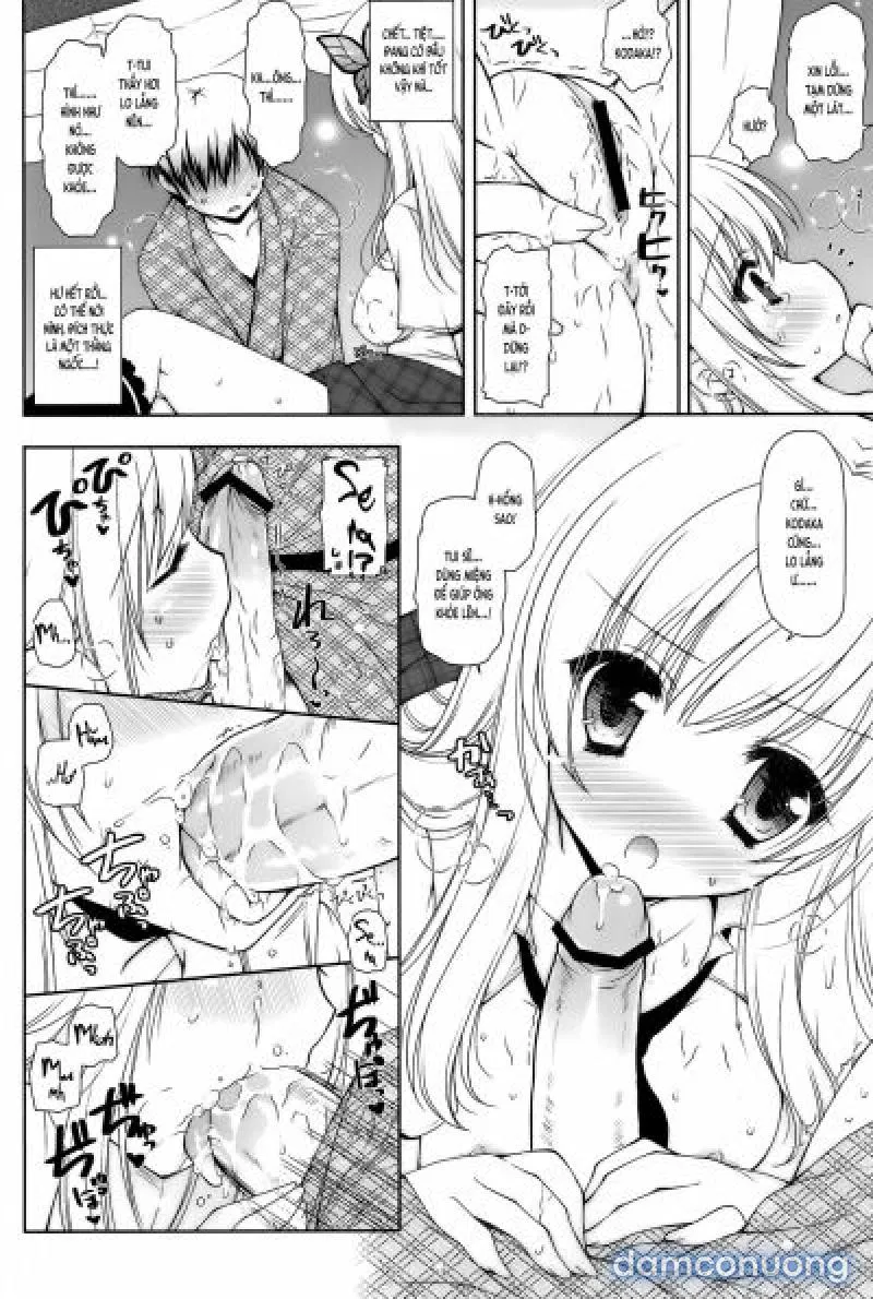 SenaPai 