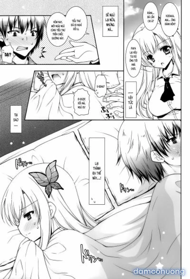 SenaPai 