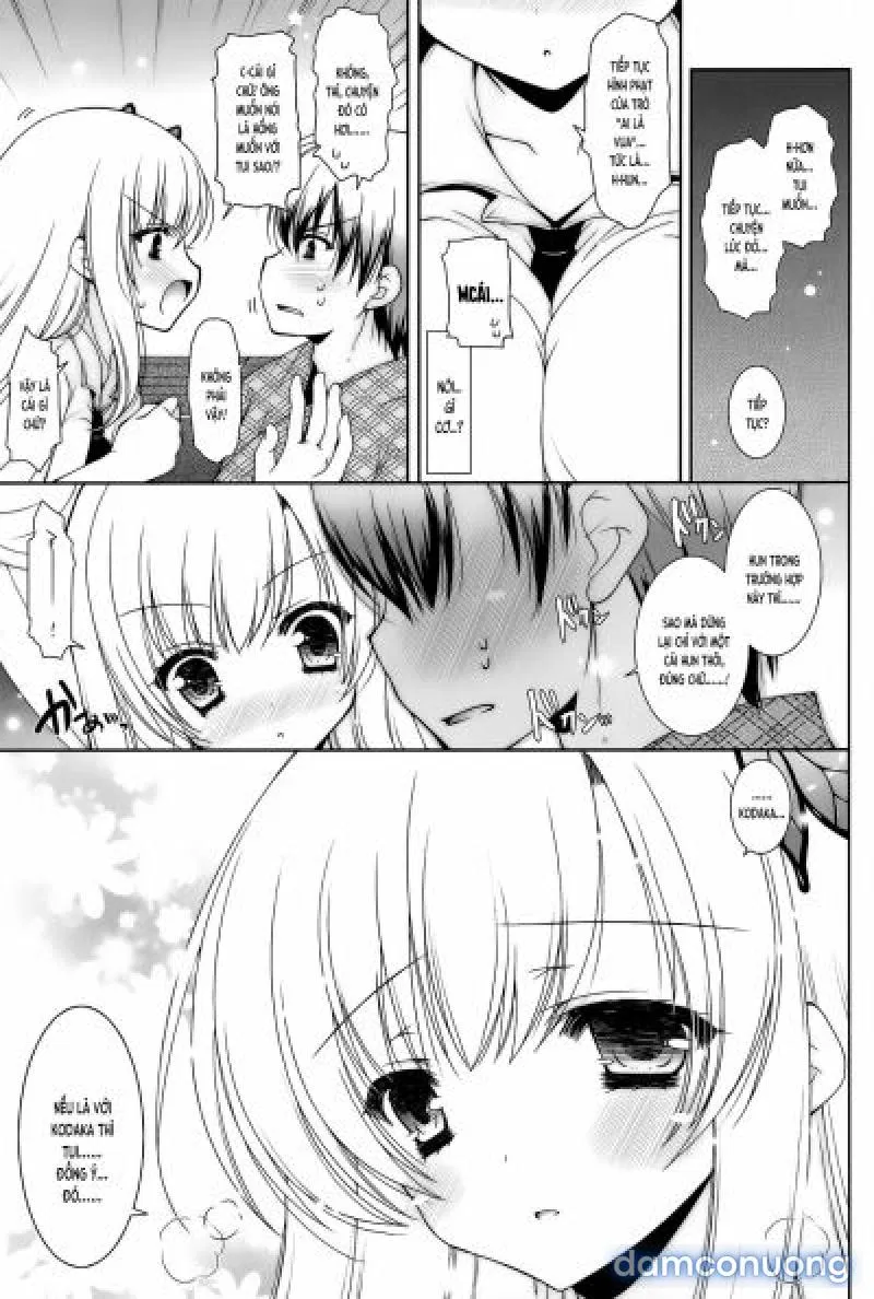 SenaPai 