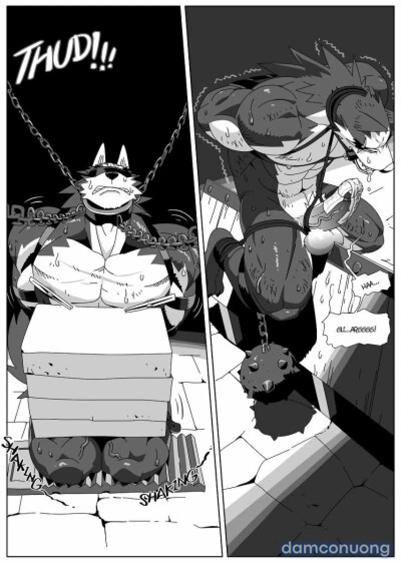Hero's Trap- Bẫy Anh Hùng 