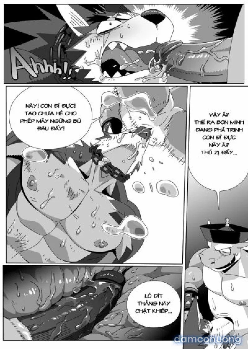Hero's Trap- Bẫy Anh Hùng 
