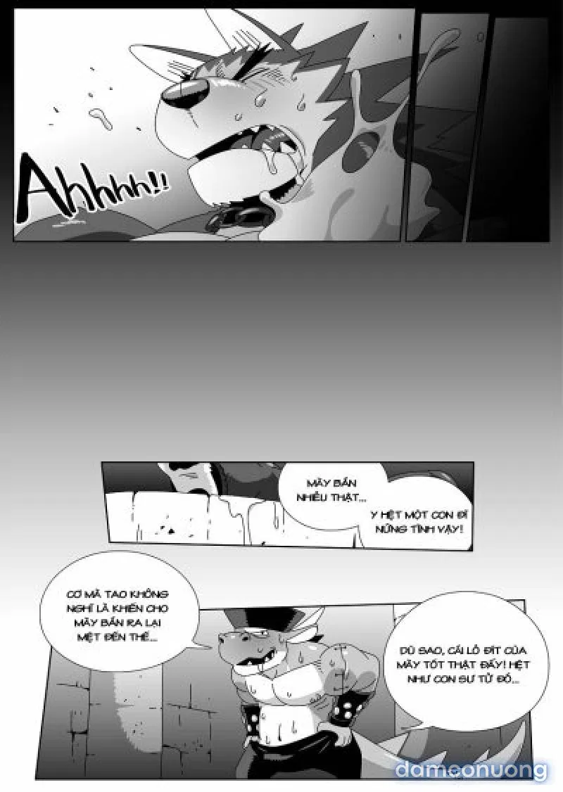 Hero's Trap- Bẫy Anh Hùng 