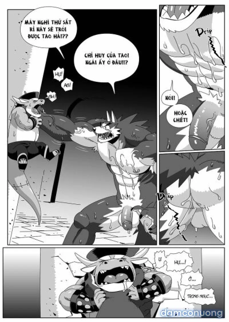 Hero's Trap- Bẫy Anh Hùng 