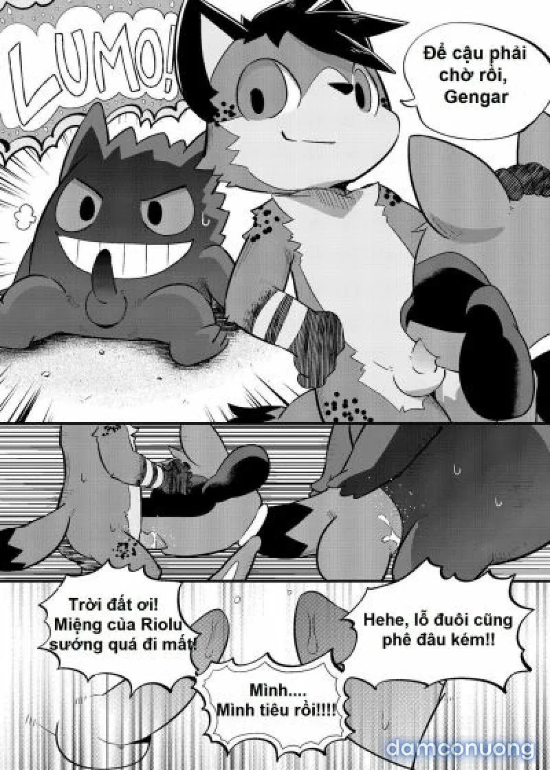 High Spectacle! (Pokemon) - 