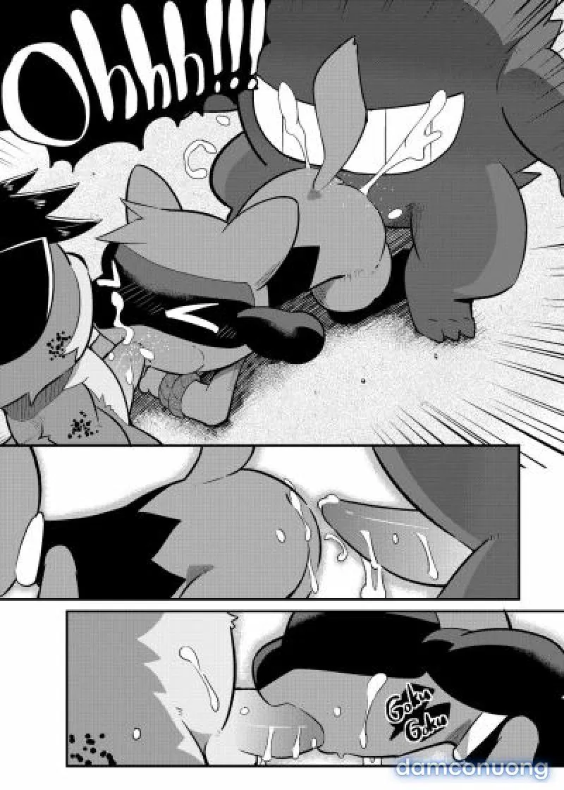 High Spectacle! (Pokemon) - 
