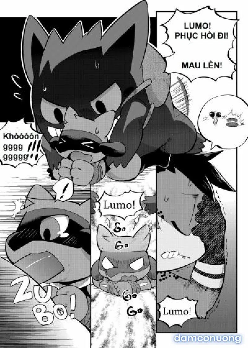 High Spectacle! (Pokemon) - 
