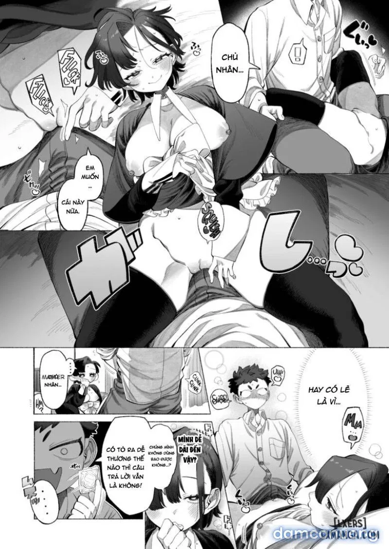 Dressed-Up Feelings 