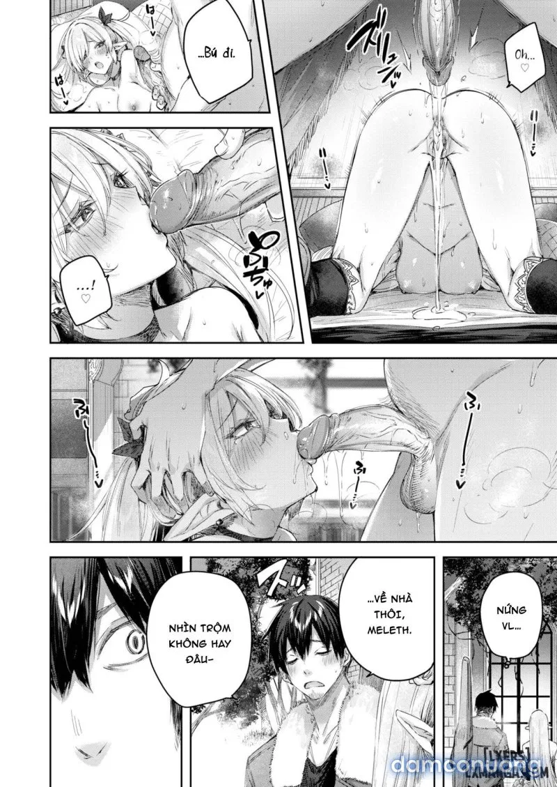 Dokushinn Hunter no Deai ha Elf no Mori de 