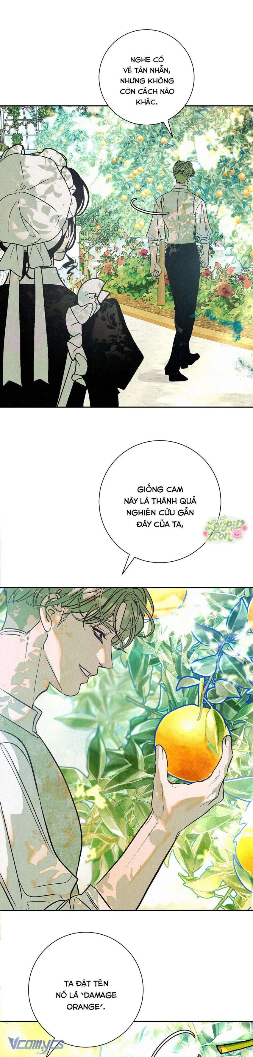 Cam Sát Thương 