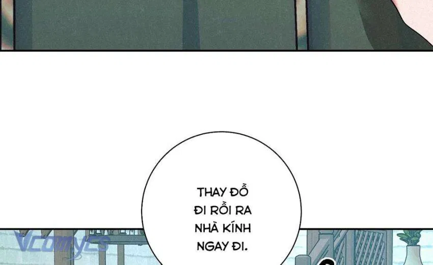 Cam Sát Thương 