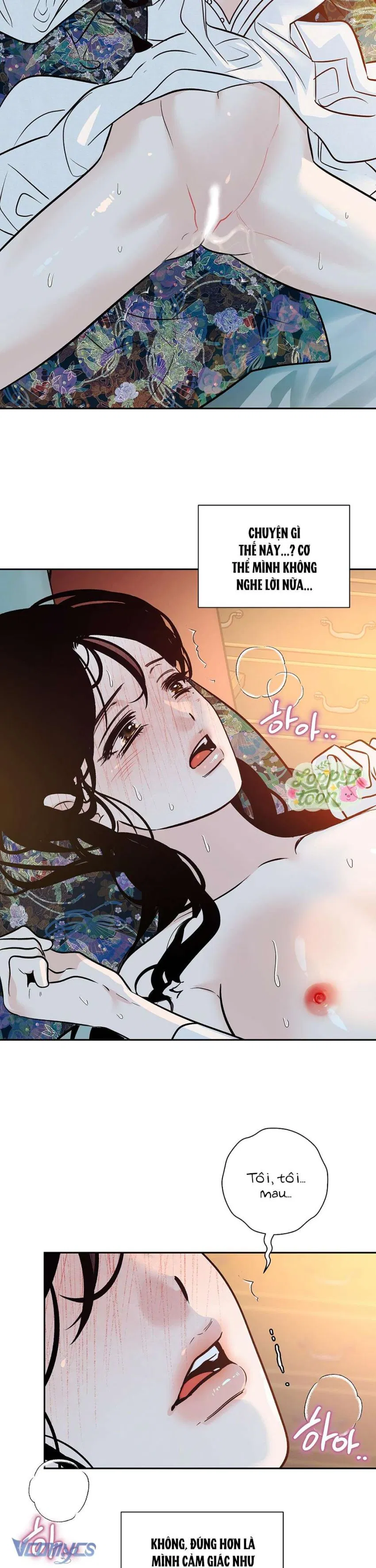 Cam Sát Thương 