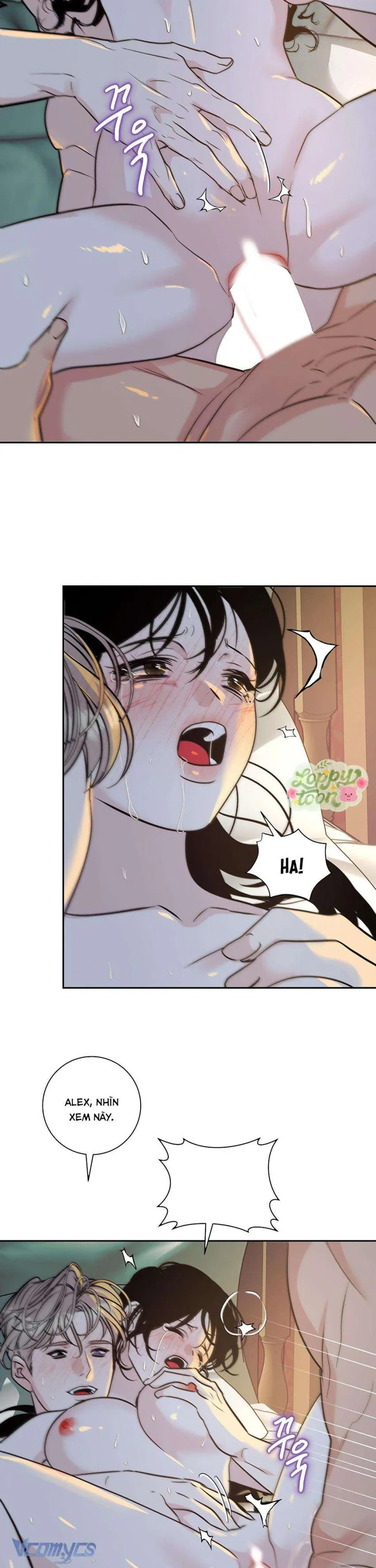 Cam Sát Thương 