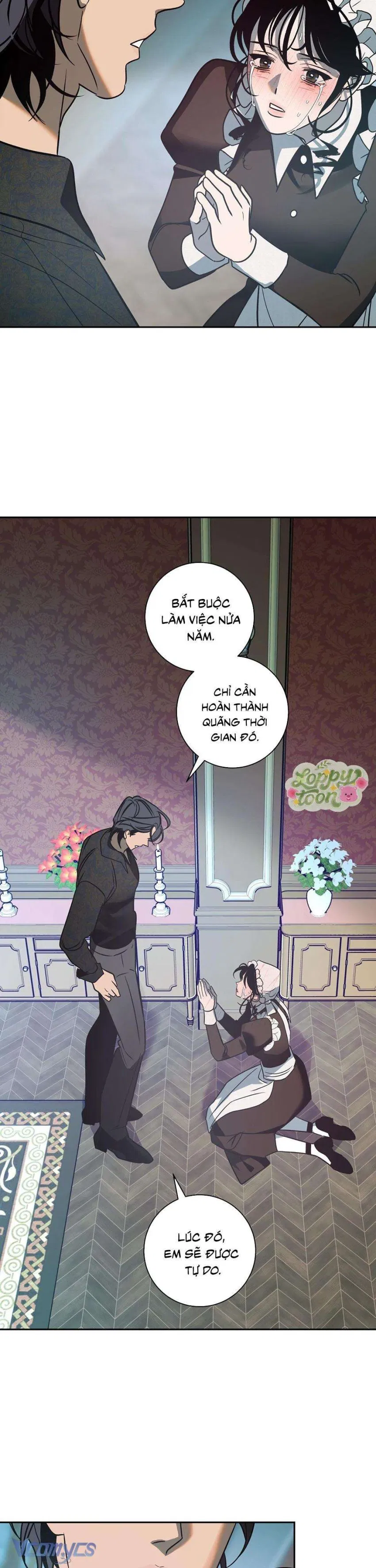 Cam Sát Thương 