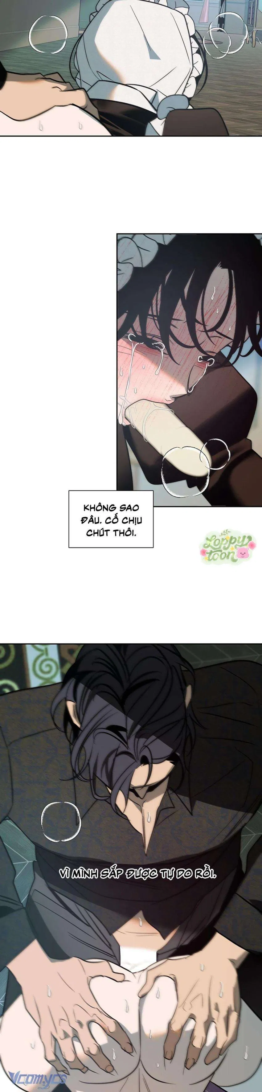 Cam Sát Thương 