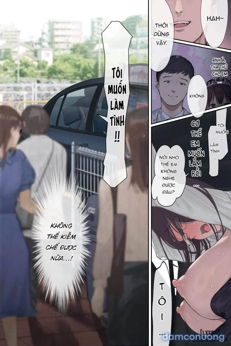 Intelli Hitozuma Amamiya Touko Sensei no Hatsujou 