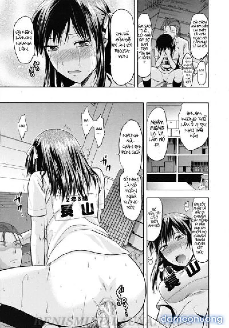 Yuzuki N Dash 