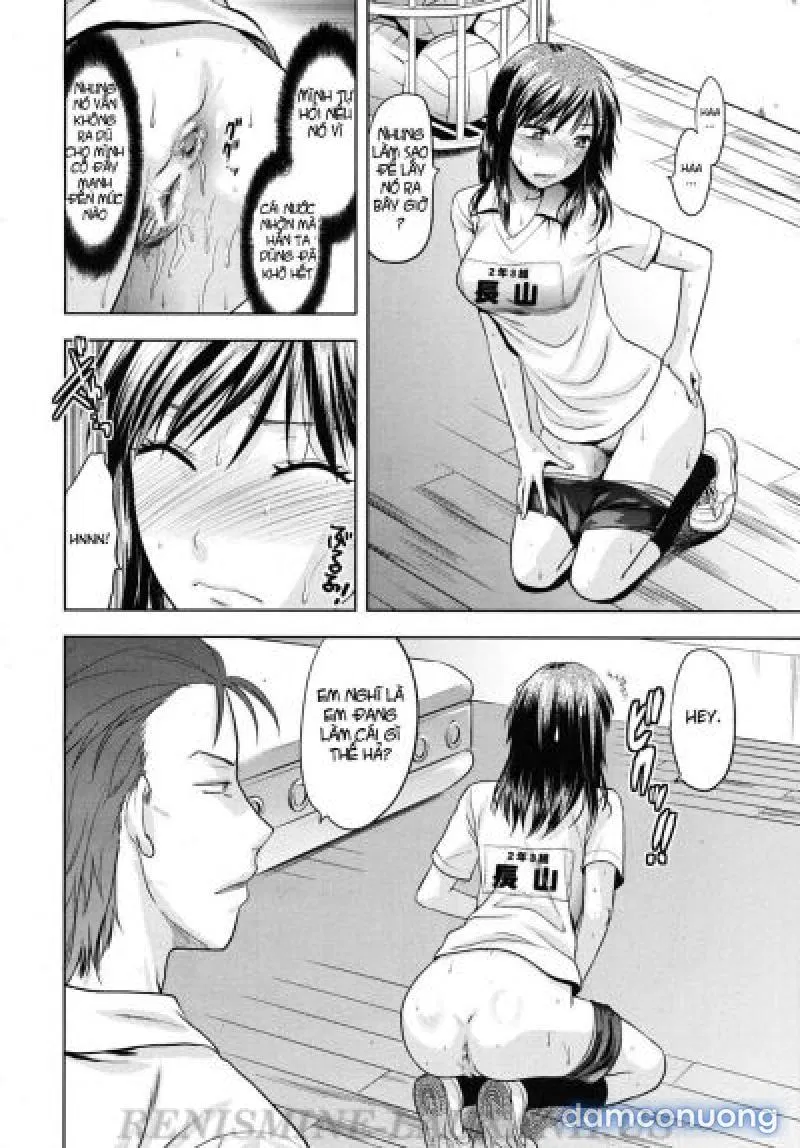 Yuzuki N Dash 