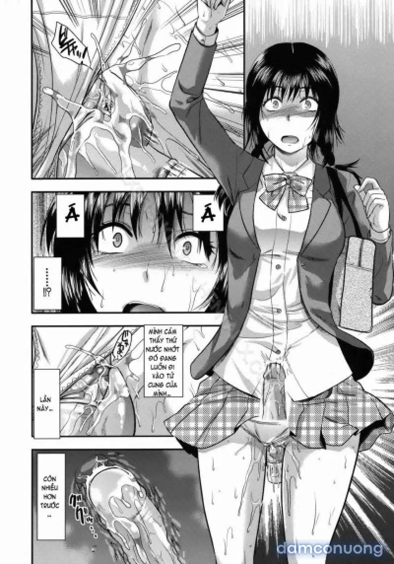 Yuzuki N Dash 