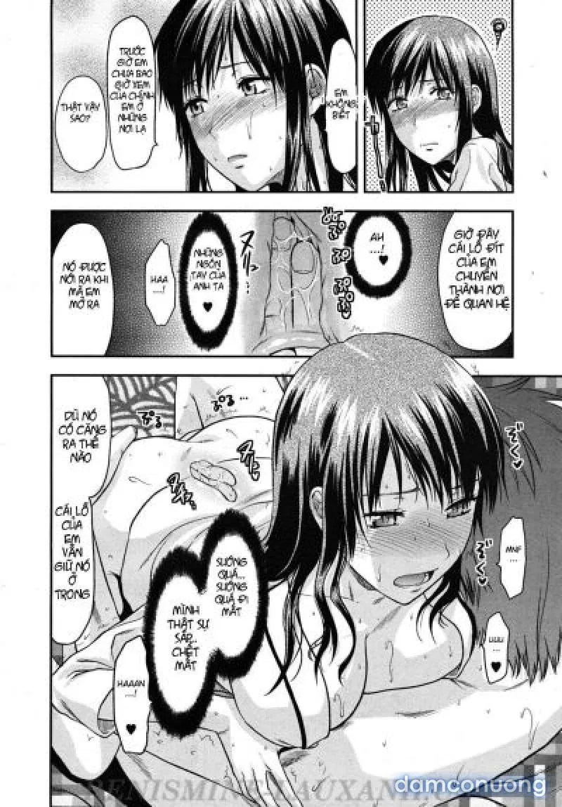 Yuzuki N Dash 