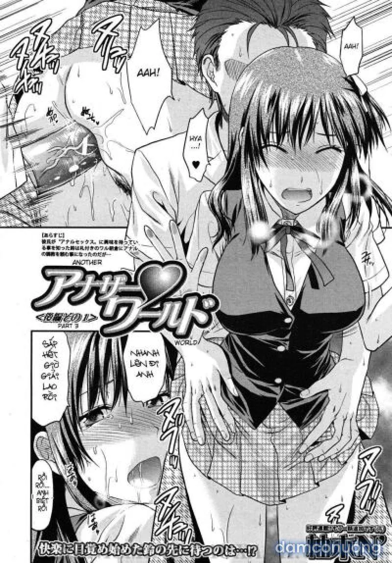 Yuzuki N Dash 