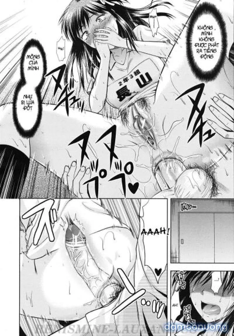 Yuzuki N Dash 