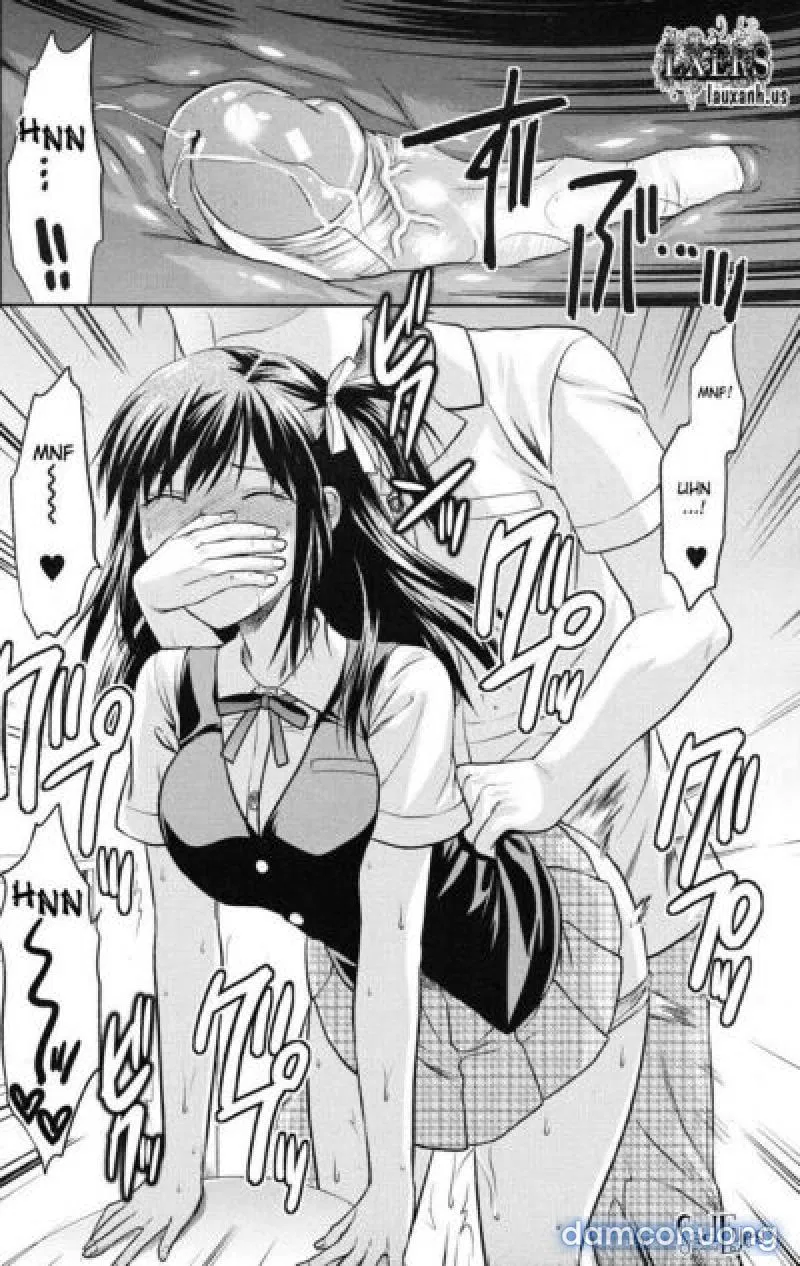 Yuzuki N Dash 