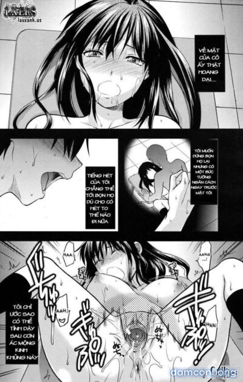 Yuzuki N Dash 