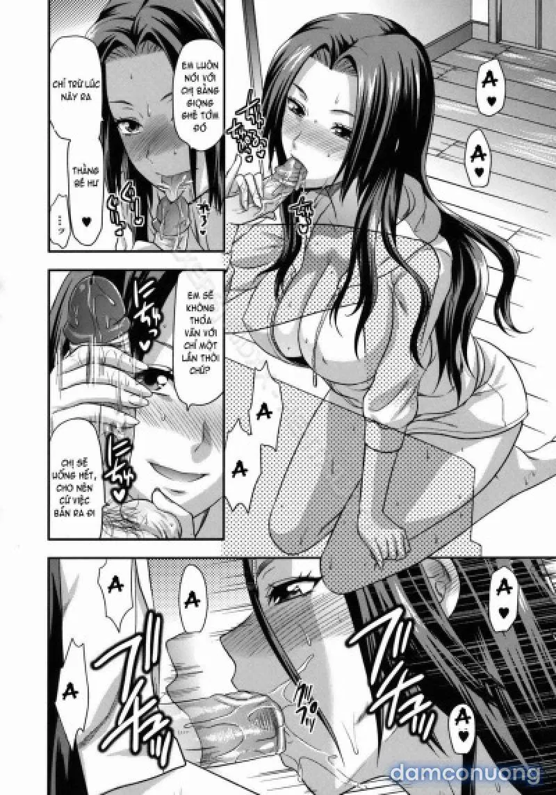 Yuzuki N Dash 