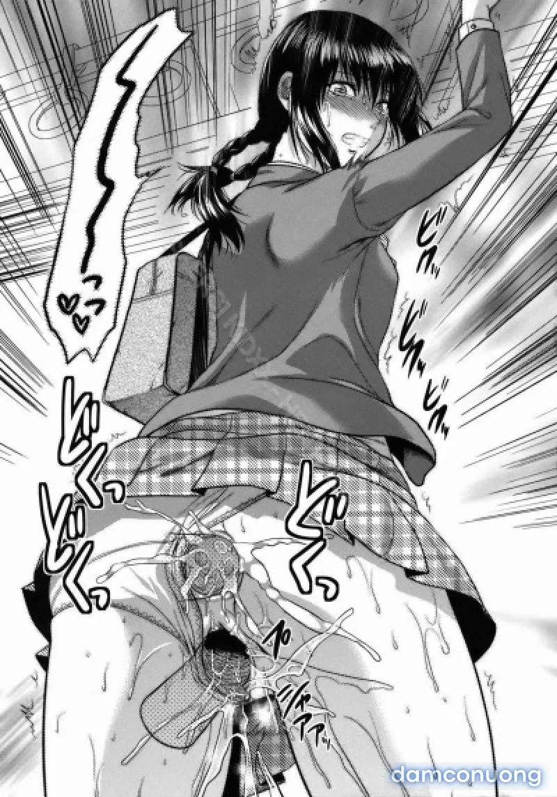 Yuzuki N Dash 