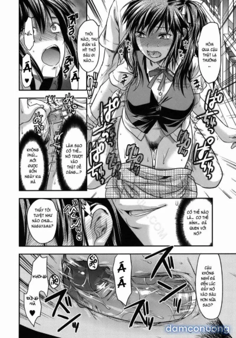 Yuzuki N Dash 