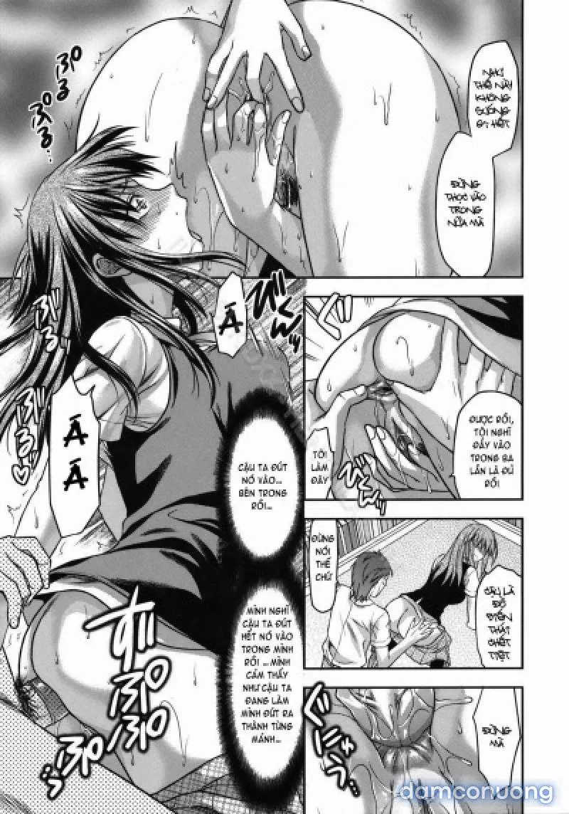 Yuzuki N Dash 