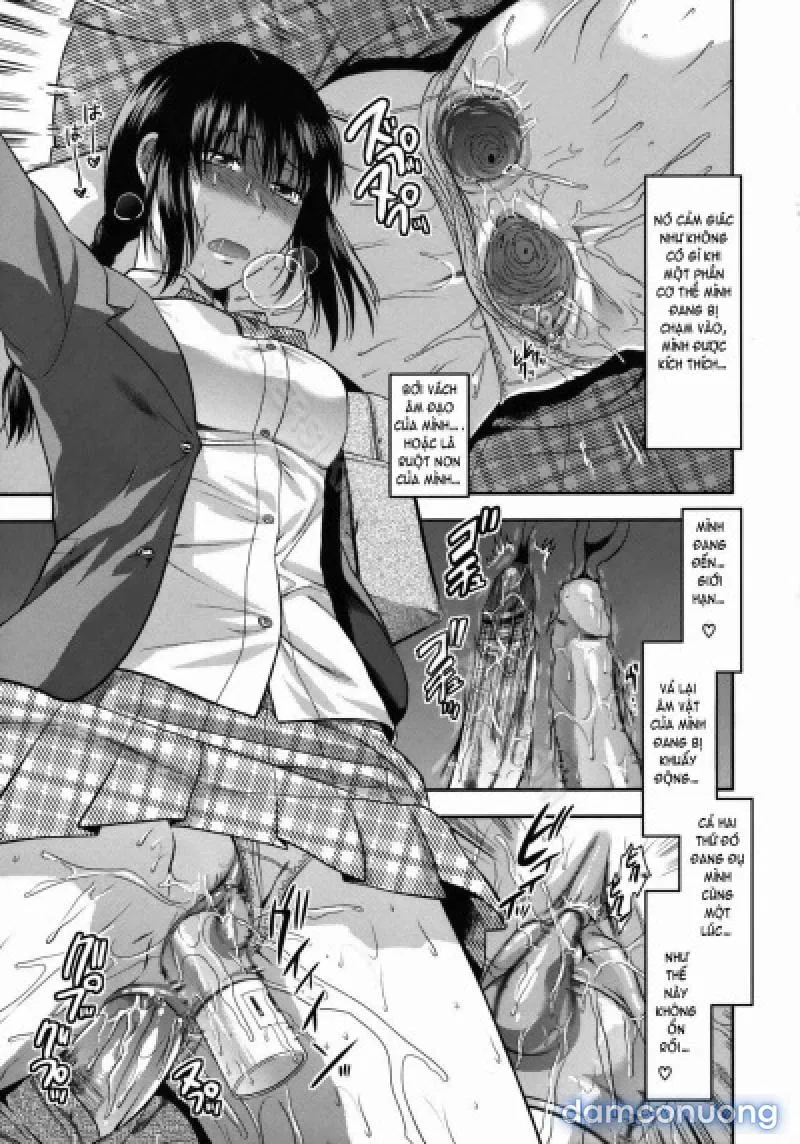 Yuzuki N Dash 