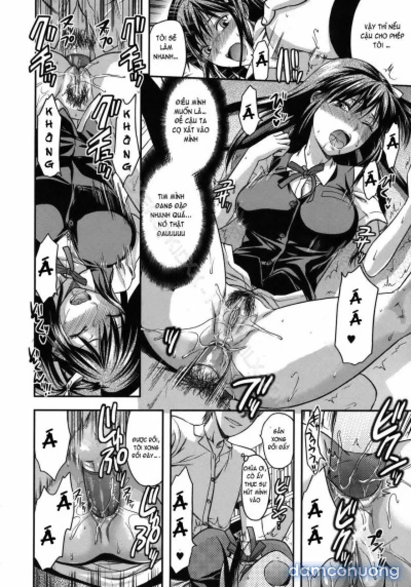 Yuzuki N Dash 