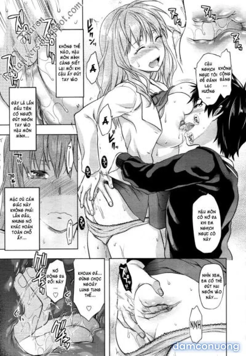 Yuzuki N Dash 