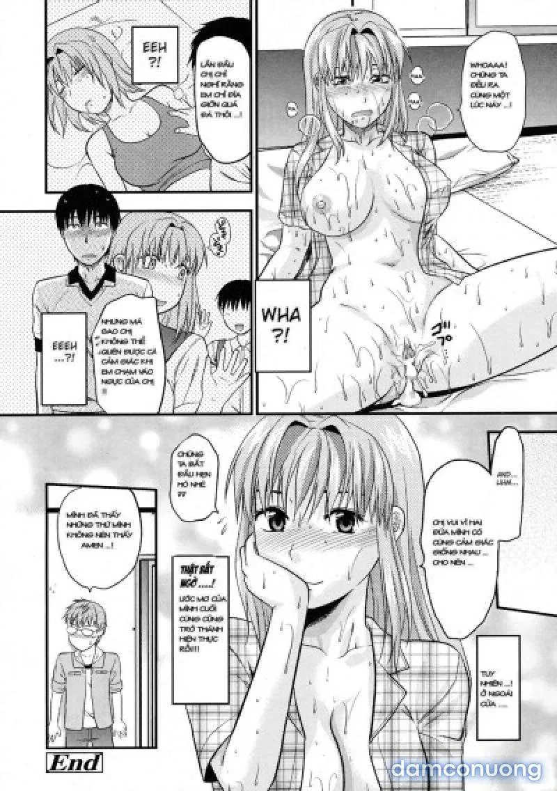 Yuzuki N Dash 