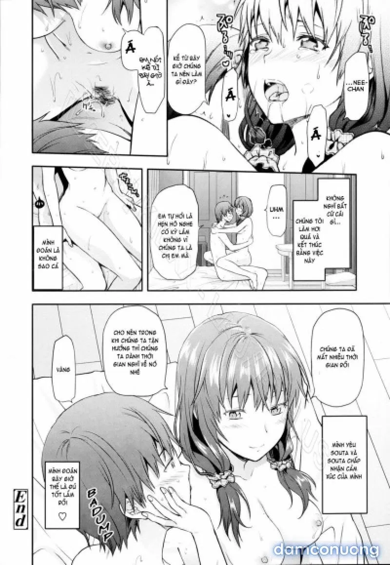 Yuzuki N Dash 