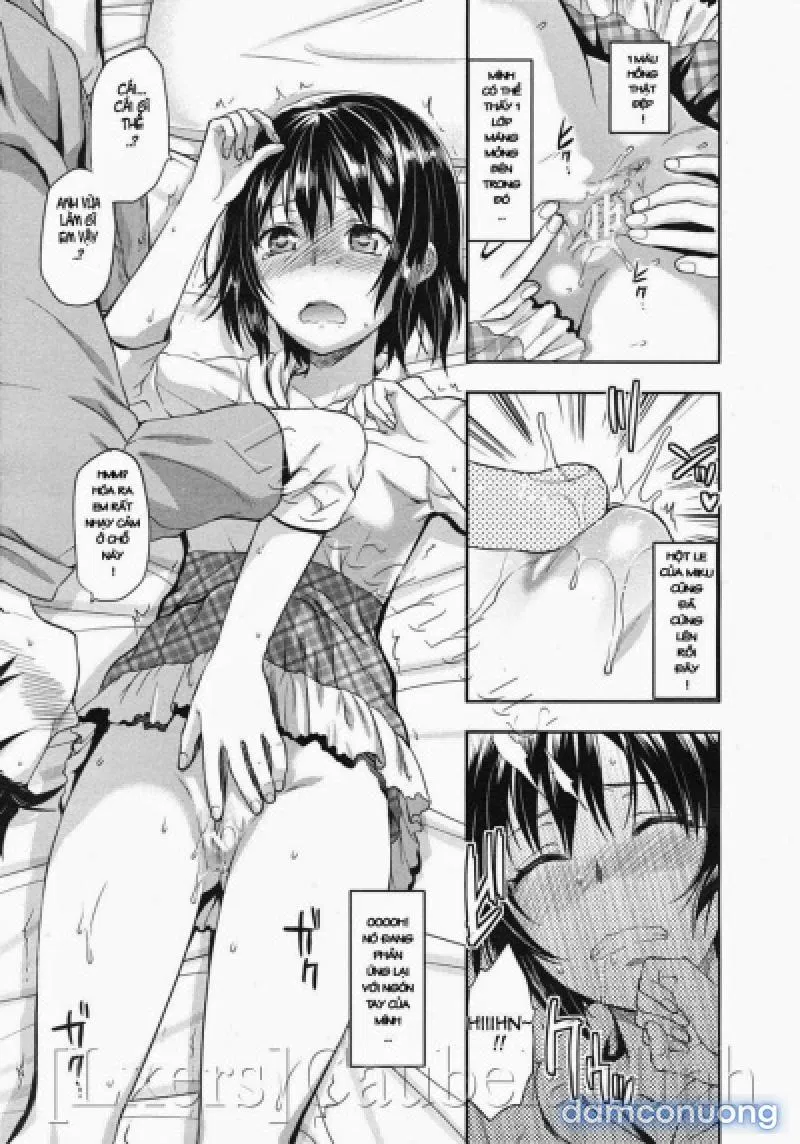 Yuzuki N Dash 