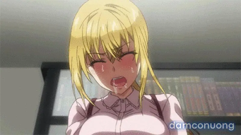 Yuzuki N Dash 