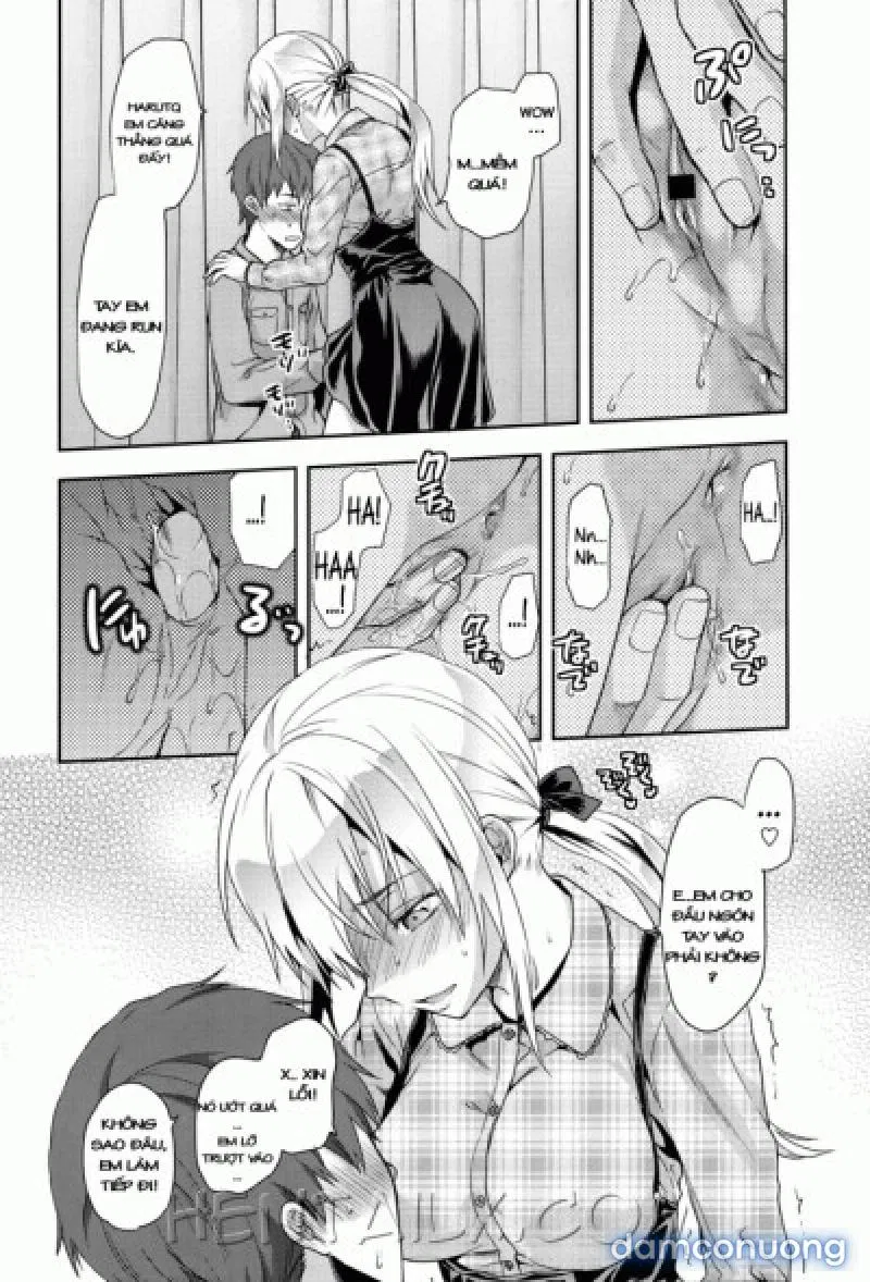 Yuzuki N Dash 