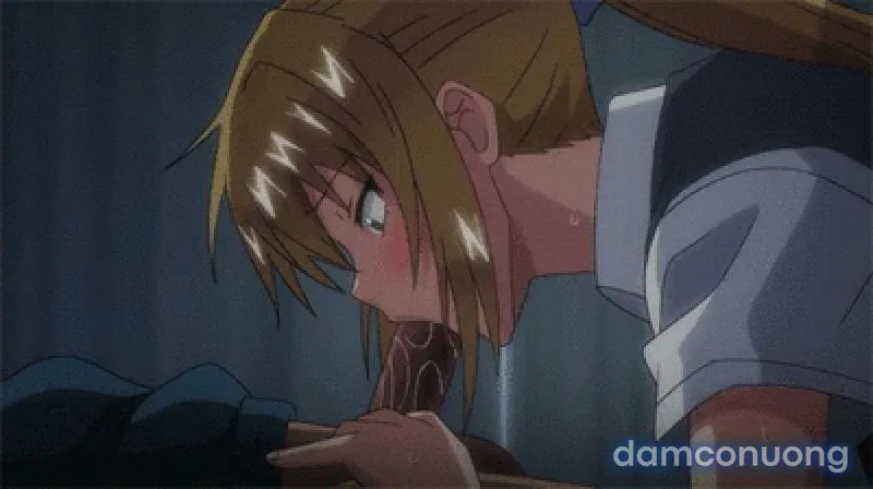 Yuzuki N Dash 