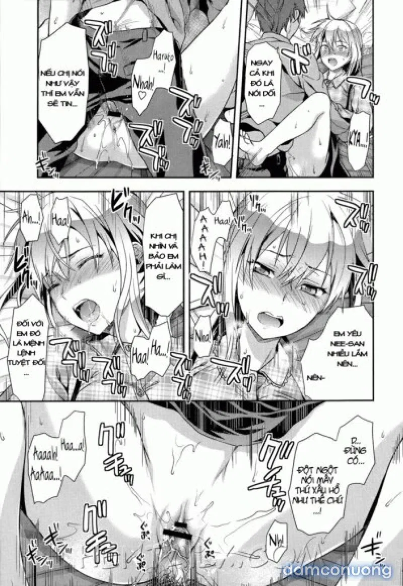 Yuzuki N Dash 