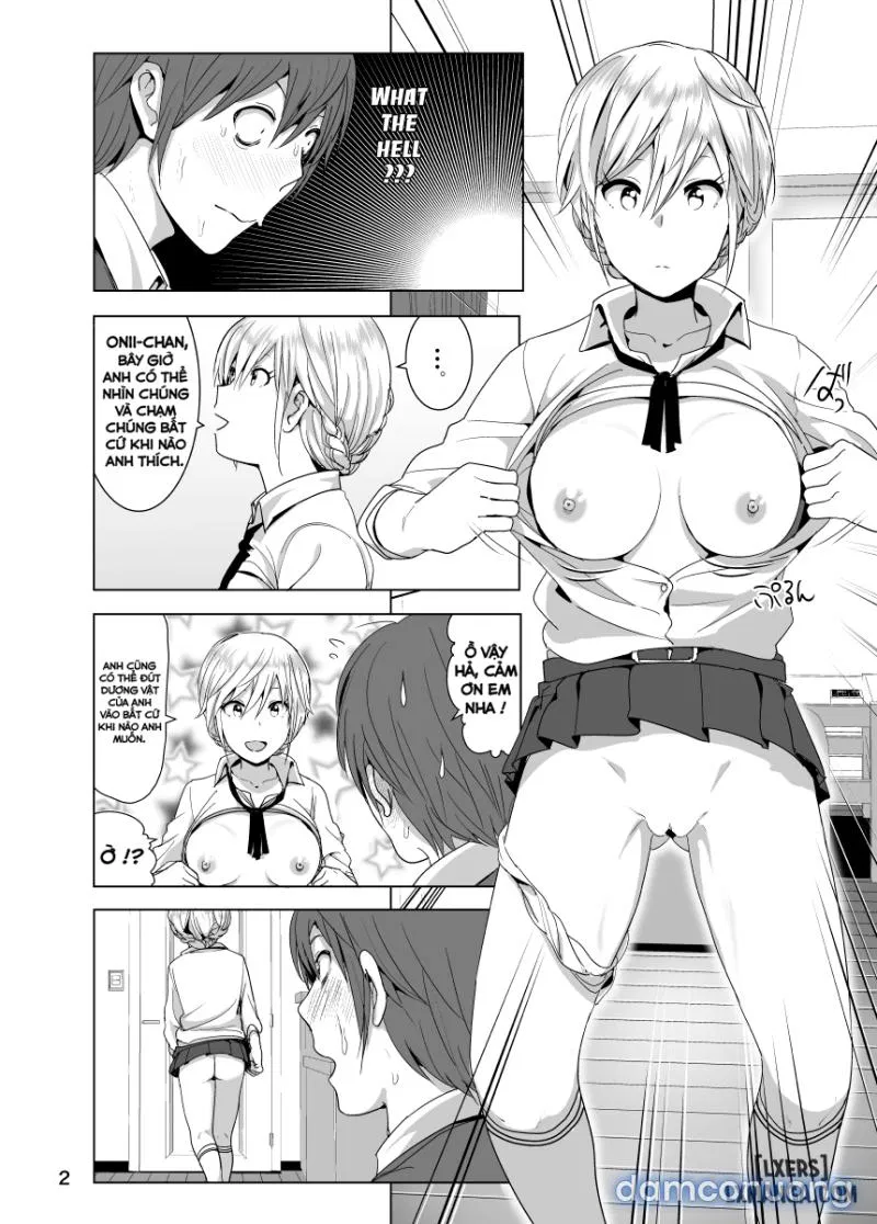 Imouto no Oppai ga Marudashi Datta Hanashi 