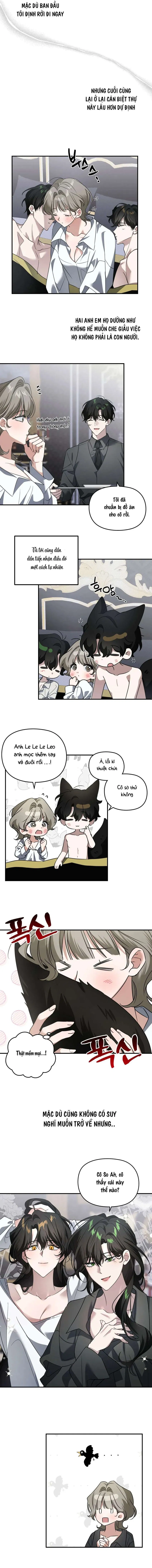 Lúc Nửa Đêm Ở Tòa Lâu Đài 