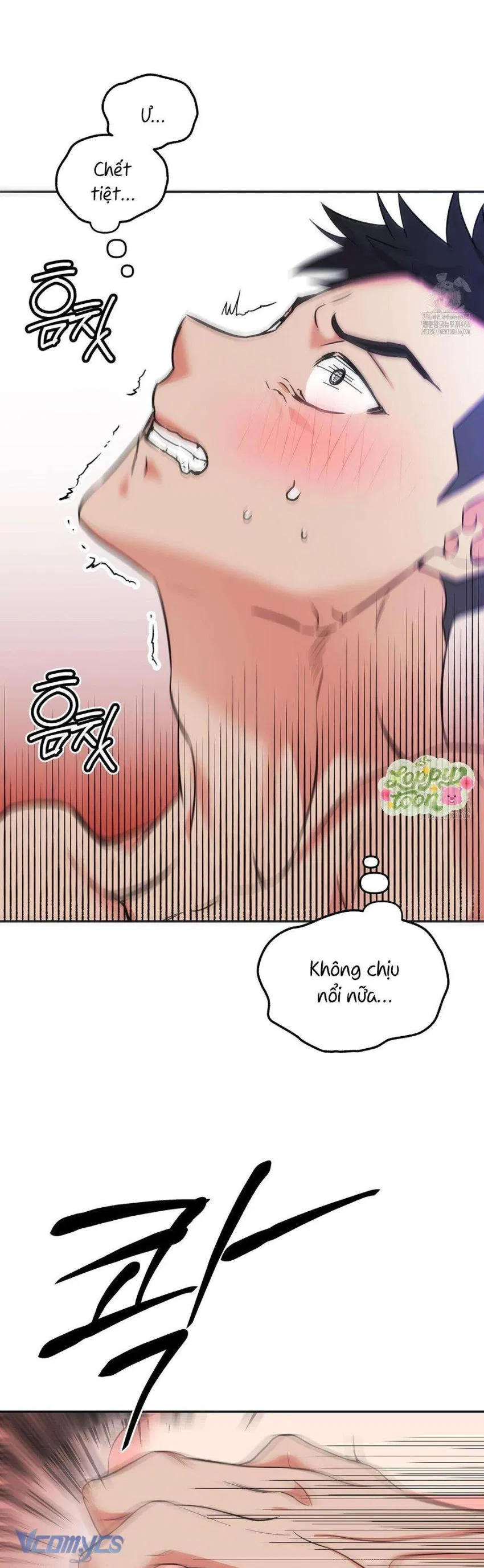 Rung Động Đỉnh Cao 