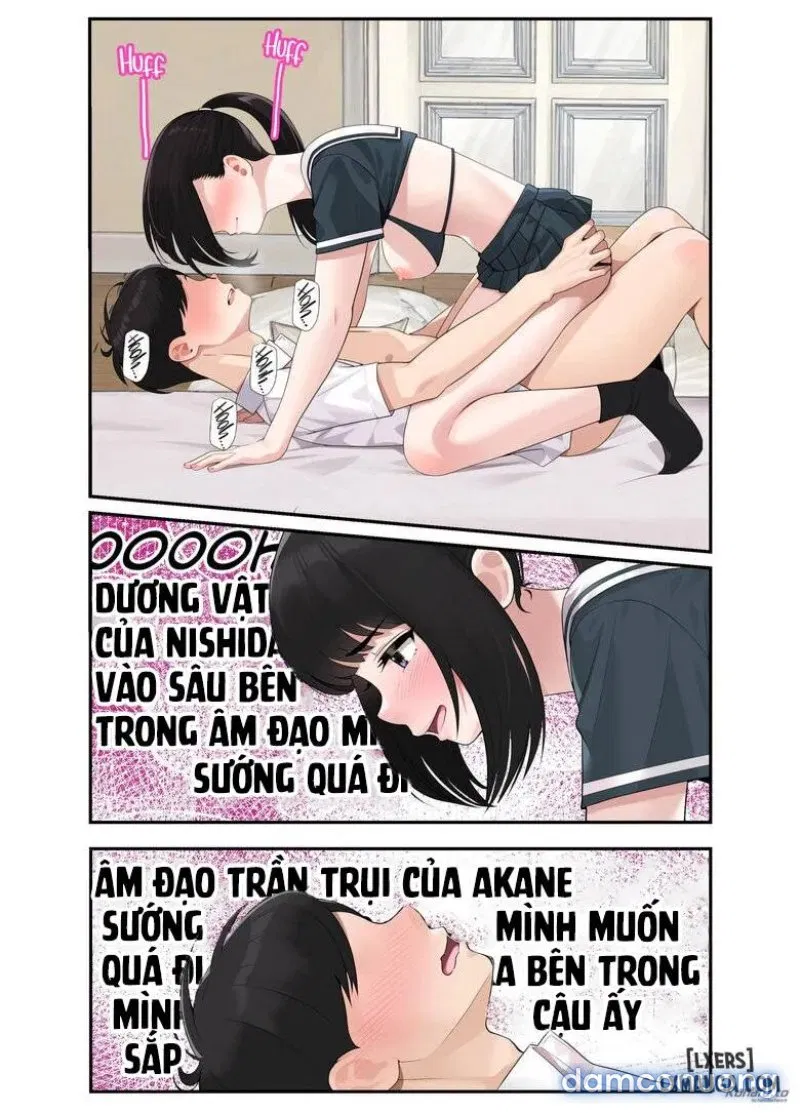 Cho nhau xem hàng! 