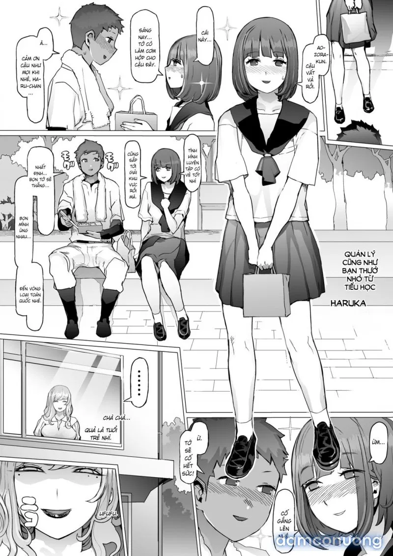 Seishun Soushitsu 