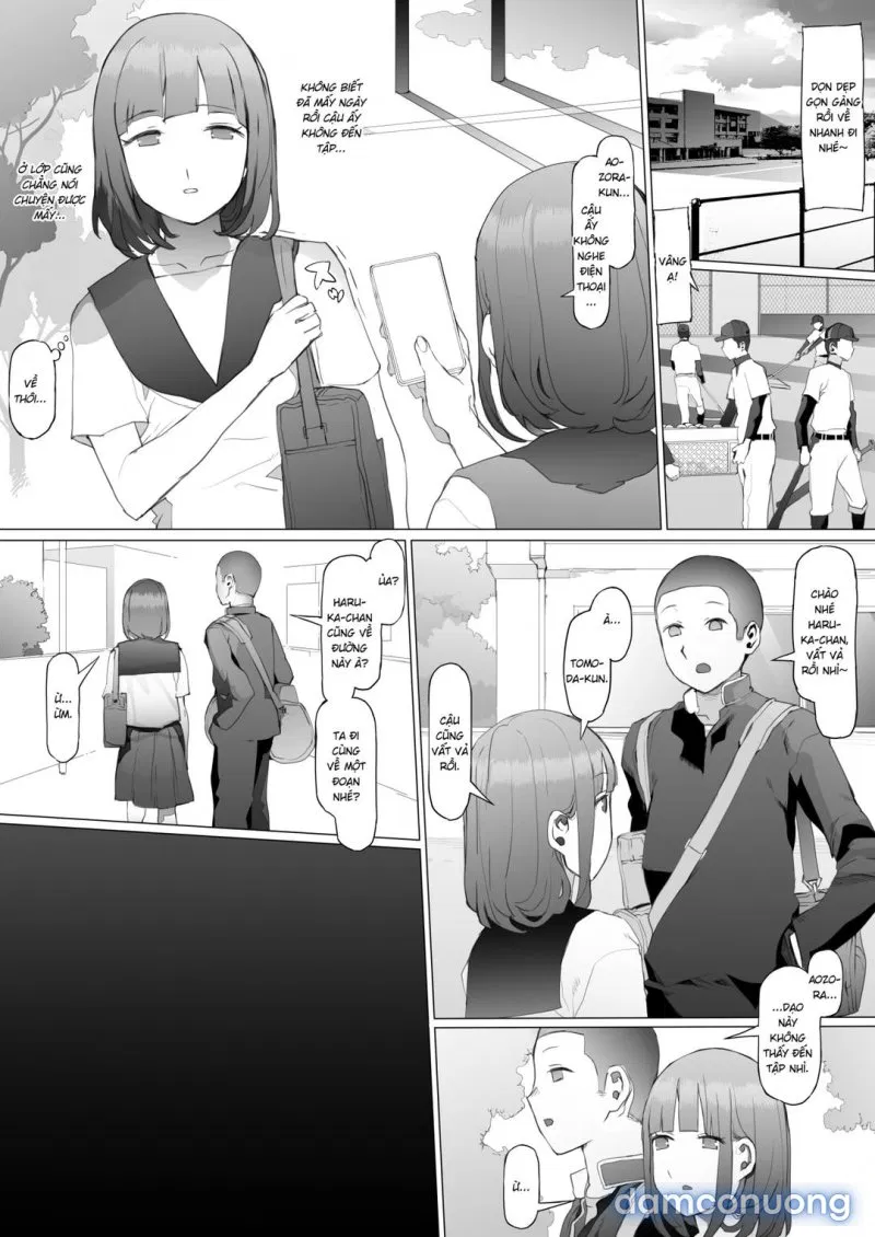 Seishun Soushitsu 