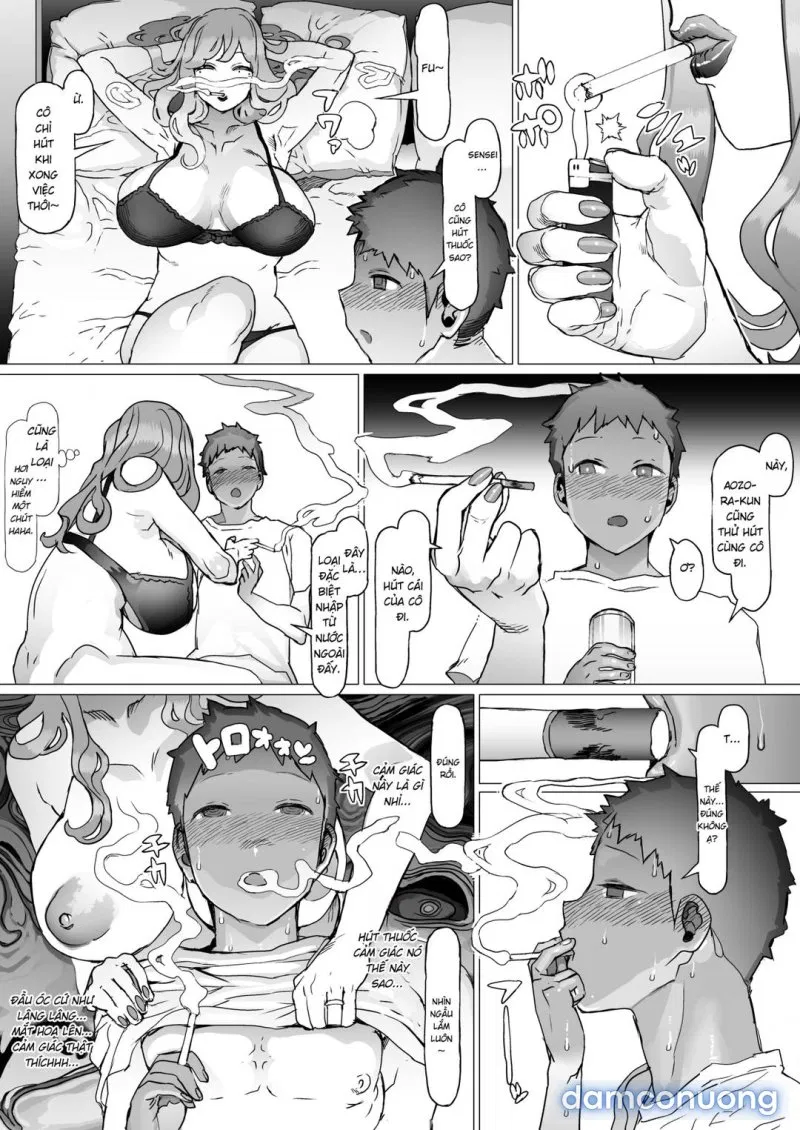 Seishun Soushitsu 